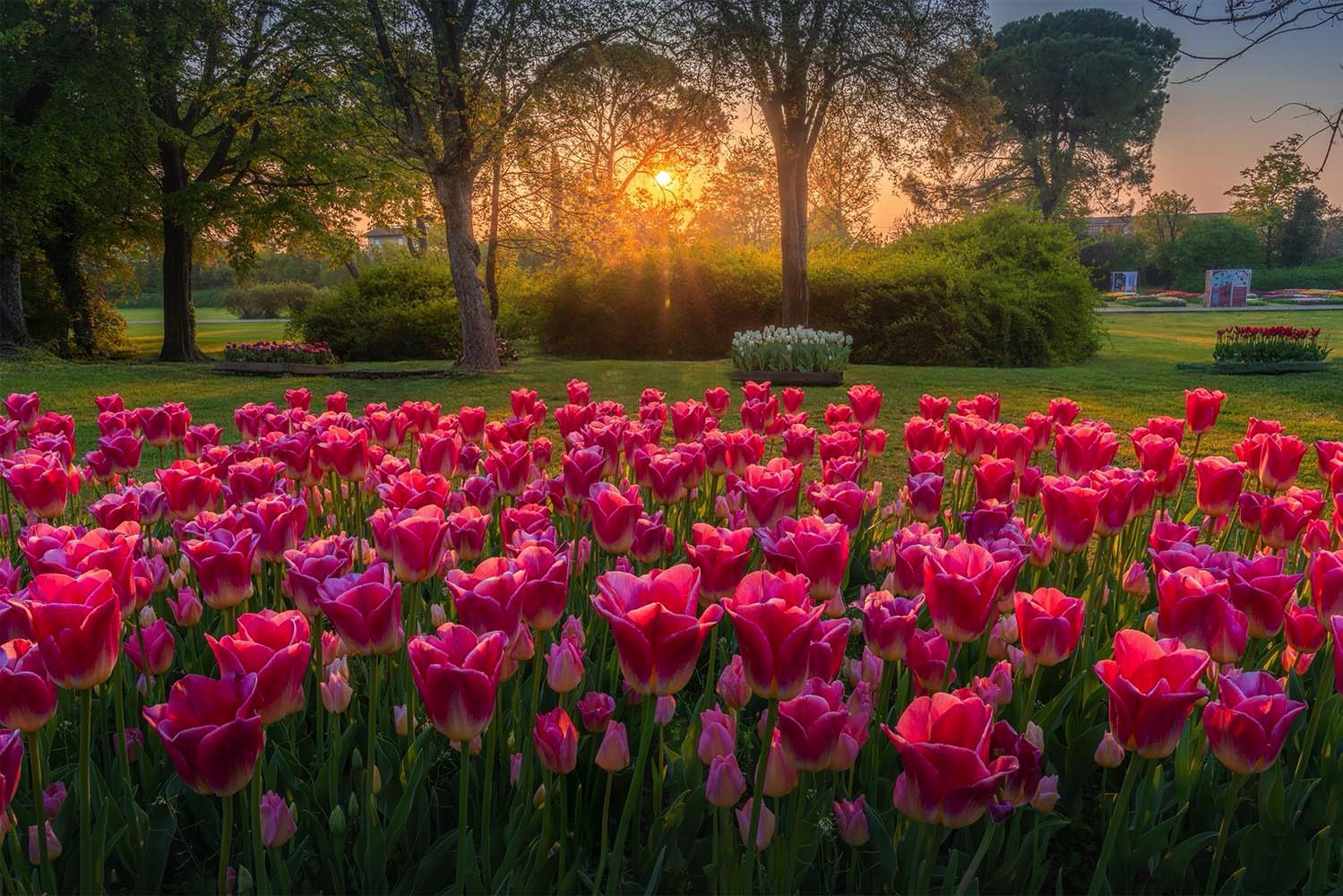 Parco Giardino Sigurtà: cosa vedere e quanto tempo serve