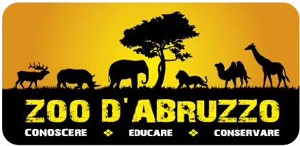 Logo Zoo D'abruzzo